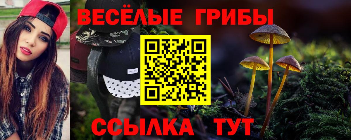 Псилоцибиновые грибы Cubensis Костомукша