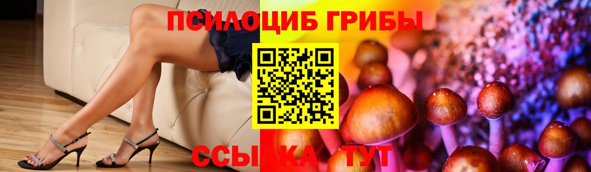 Костомукша  Галлюциногенные грибы мицелий  продажа наркотиков  Вход с VPN 
